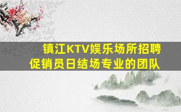 镇江KTV娱乐场所招聘促销员日结场专业的团队